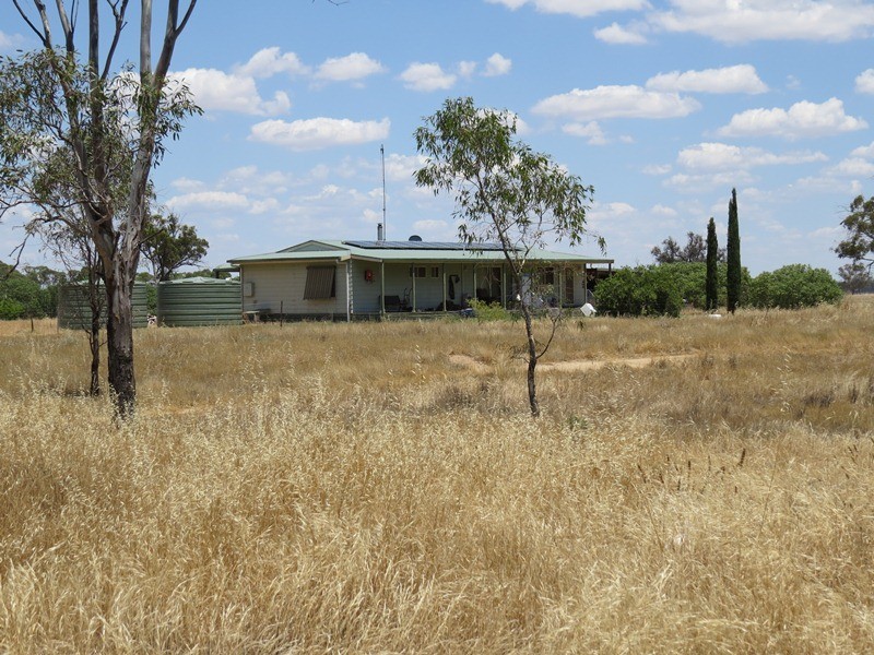 2738 CALIMO ROAD, Deniliquin NSW 2710