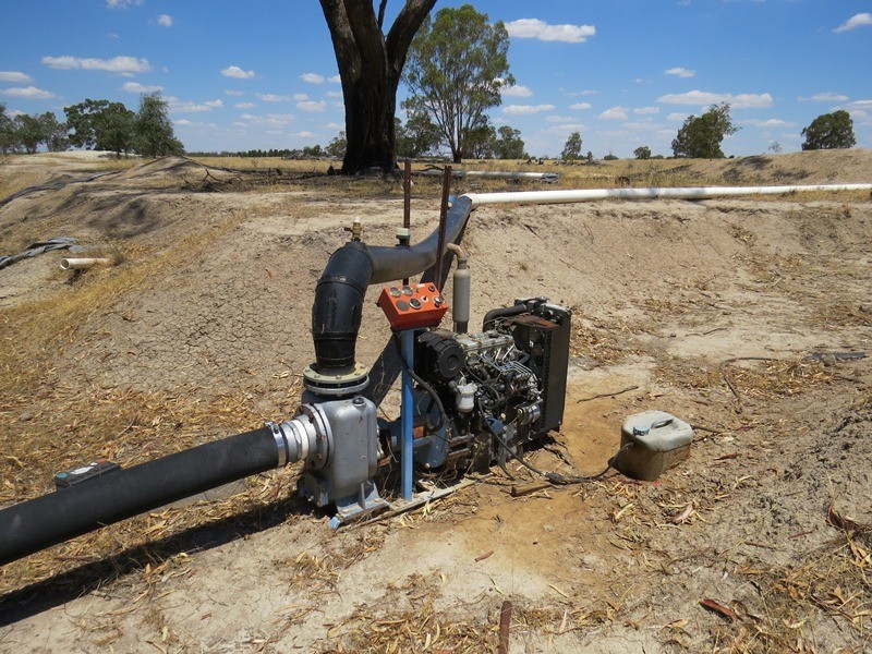 2738 CALIMO ROAD, Deniliquin NSW 2710