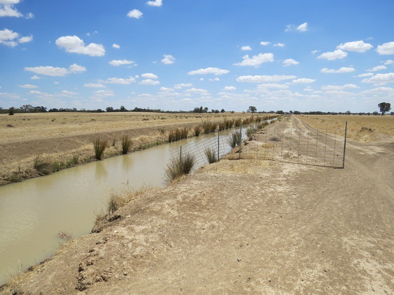 2738 CALIMO ROAD, Deniliquin NSW 2710