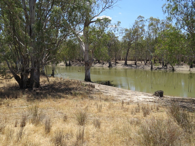 2738 CALIMO ROAD, Deniliquin NSW 2710