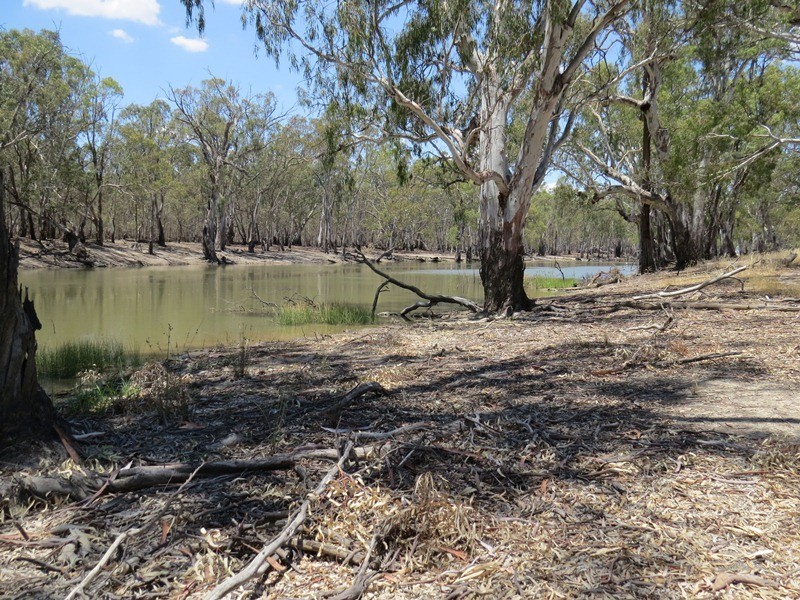 2738 CALIMO ROAD, Deniliquin NSW 2710