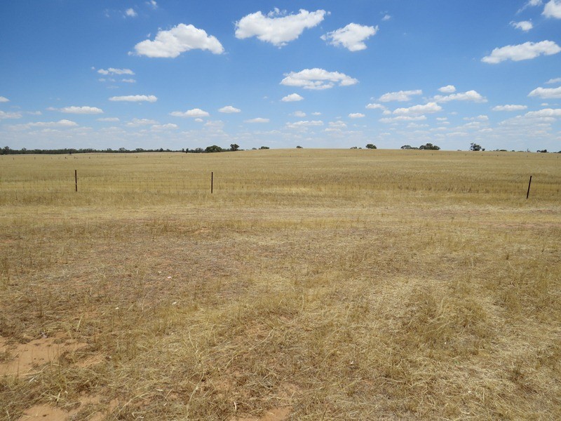 2738 CALIMO ROAD, Deniliquin NSW 2710