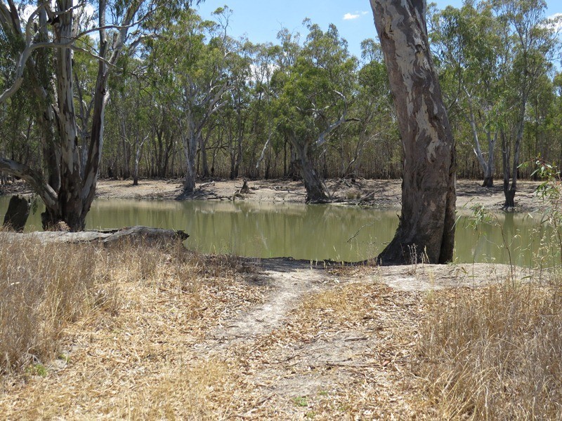 2738 CALIMO ROAD, Deniliquin NSW 2710