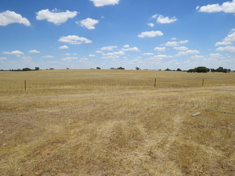 2738 CALIMO ROAD, Deniliquin NSW 2710