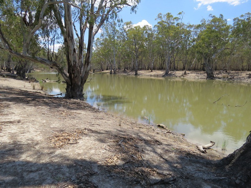 2738 CALIMO ROAD, Deniliquin NSW 2710