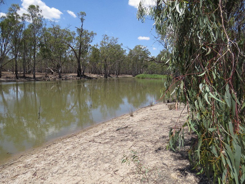 2738 CALIMO ROAD, Deniliquin NSW 2710