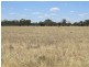 2738 CALIMO ROAD, Deniliquin NSW 2710