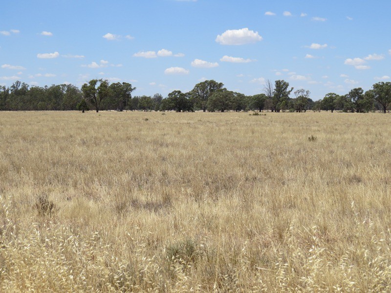 2738 CALIMO ROAD, Deniliquin NSW 2710