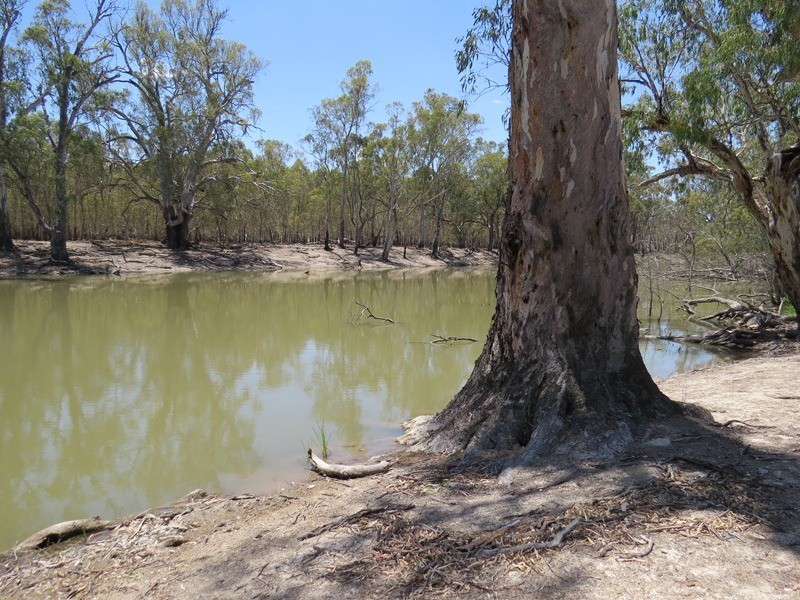 2738 CALIMO ROAD, Deniliquin NSW 2710