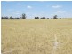 2738 CALIMO ROAD, Deniliquin NSW 2710