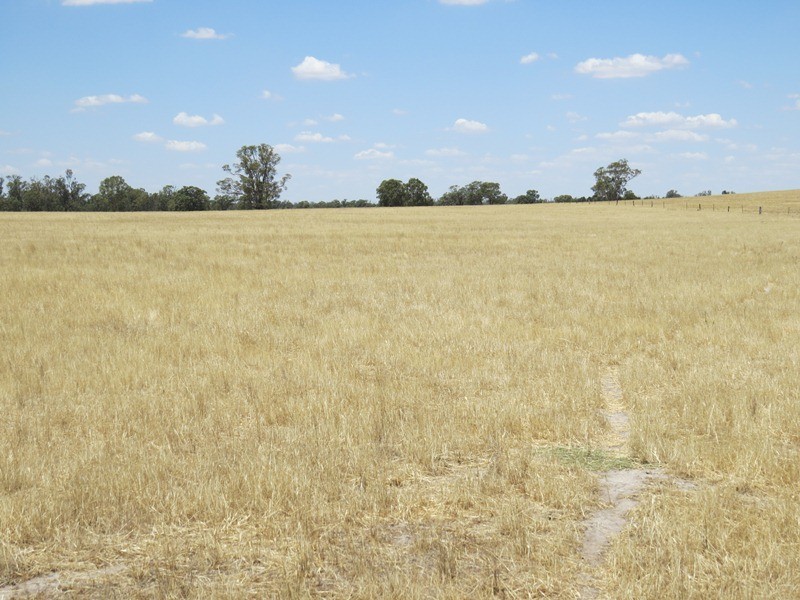 2738 CALIMO ROAD, Deniliquin NSW 2710