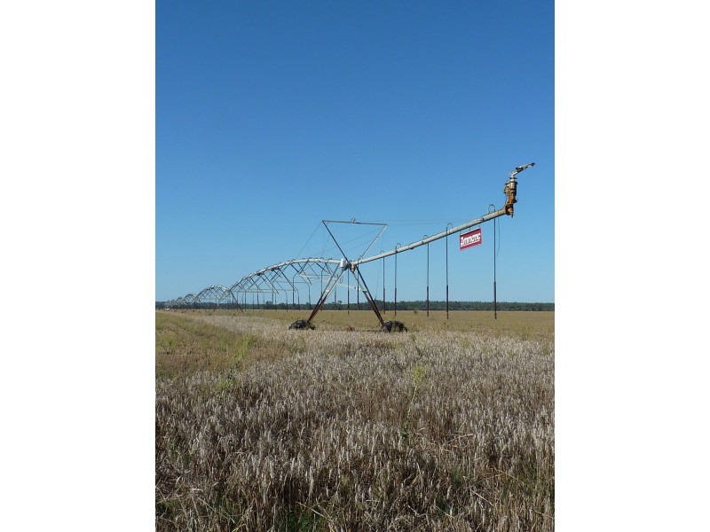 8813 Sturt Highway, Narrandera NSW 2700