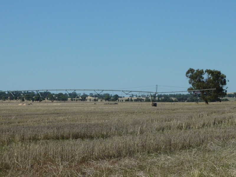 8813 Sturt Highway, Narrandera NSW 2700