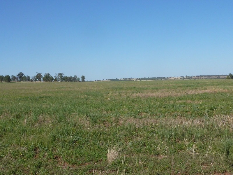 8813 Sturt Highway, Narrandera NSW 2700