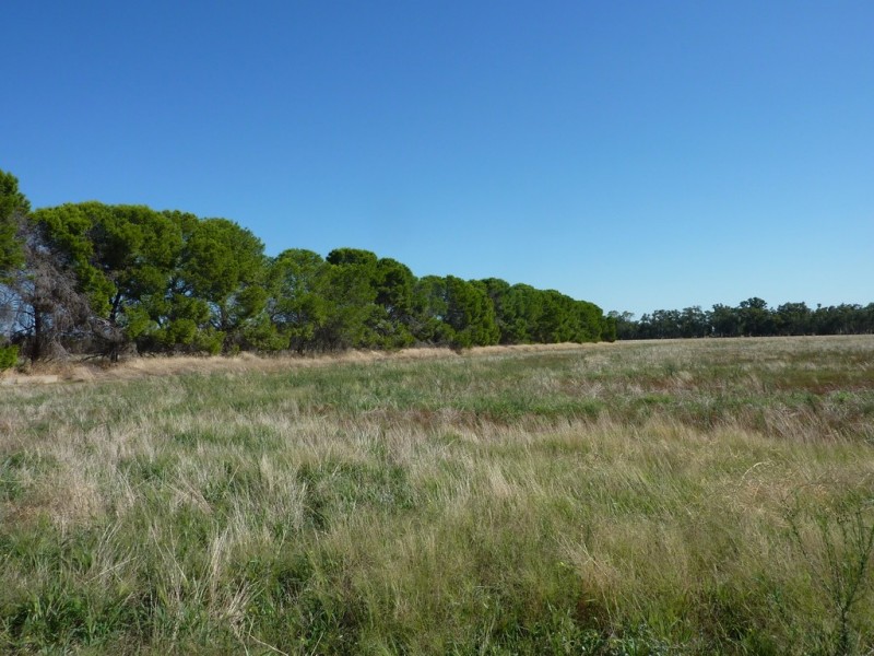 8813 Sturt Highway, Narrandera NSW 2700