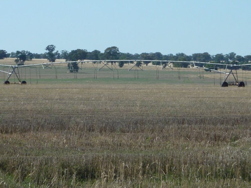 8813 Sturt Highway, Narrandera NSW 2700