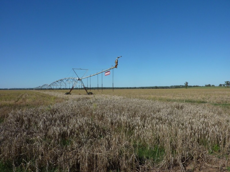 8813 Sturt Highway, Narrandera NSW 2700