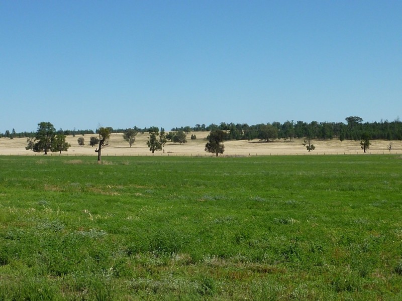 3500 Strontian Road, Narrandera NSW 2700