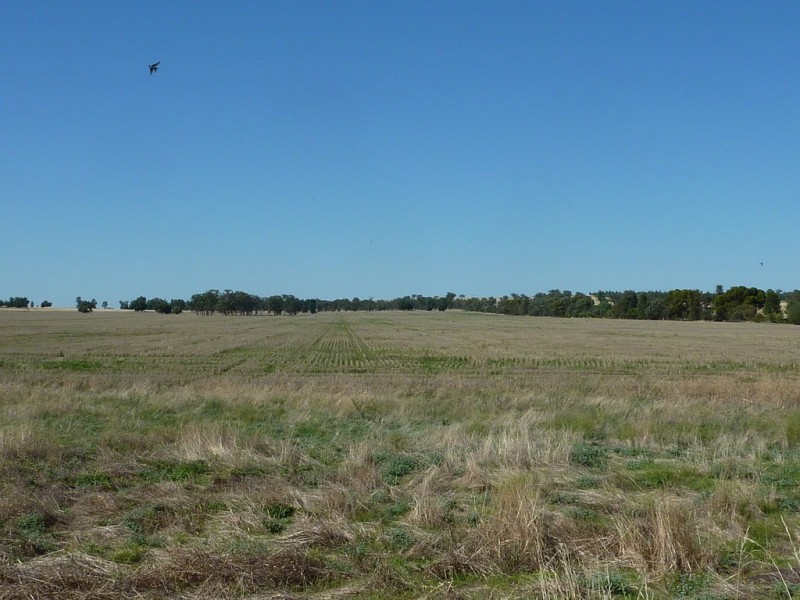 3500 Strontian Road, Narrandera NSW 2700