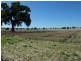 3500 Strontian Road, Narrandera NSW 2700