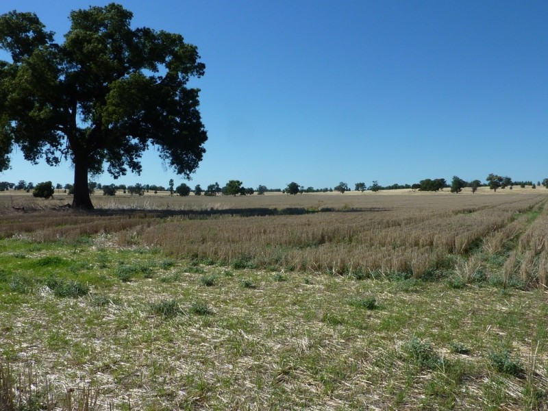 3500 Strontian Road, Narrandera NSW 2700