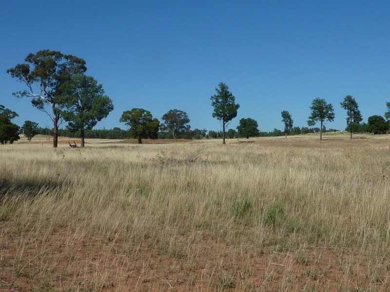 3500 Strontian Road, Narrandera NSW 2700