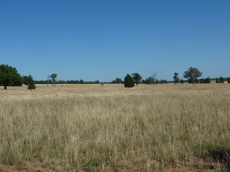 3500 Strontian Road, Narrandera NSW 2700