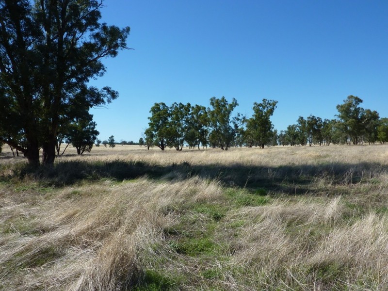 3500 Strontian Road, Narrandera NSW 2700