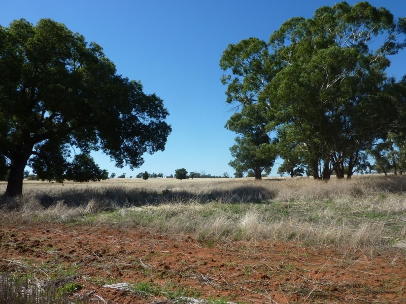 3500 Strontian Road, Narrandera NSW 2700