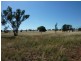 3500 Strontian Road, Narrandera NSW 2700