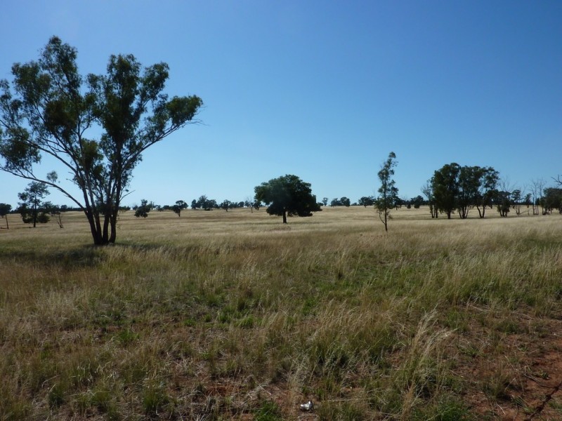 3500 Strontian Road, Narrandera NSW 2700