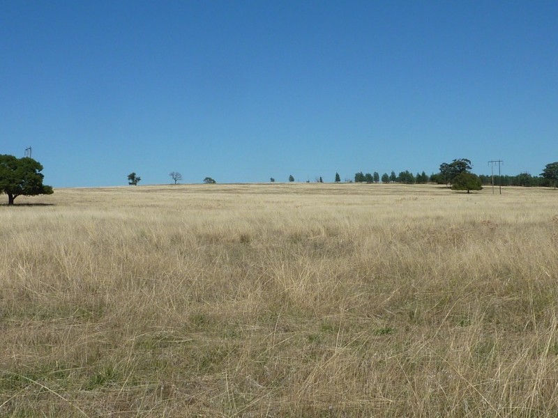 3500 Strontian Road, Narrandera NSW 2700