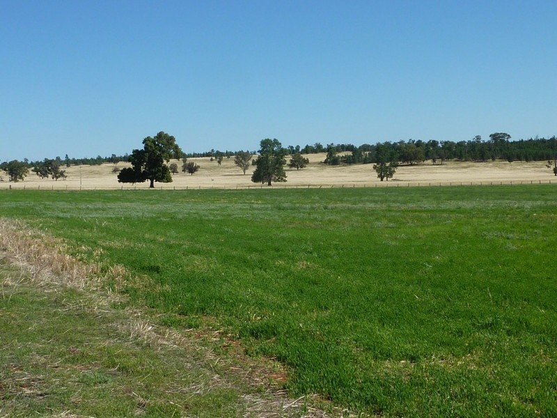 3500 Strontian Road, Narrandera NSW 2700