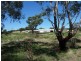 3500 Strontian Road, Narrandera NSW 2700