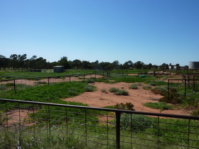 3500 Strontian Road, Narrandera NSW 2700
