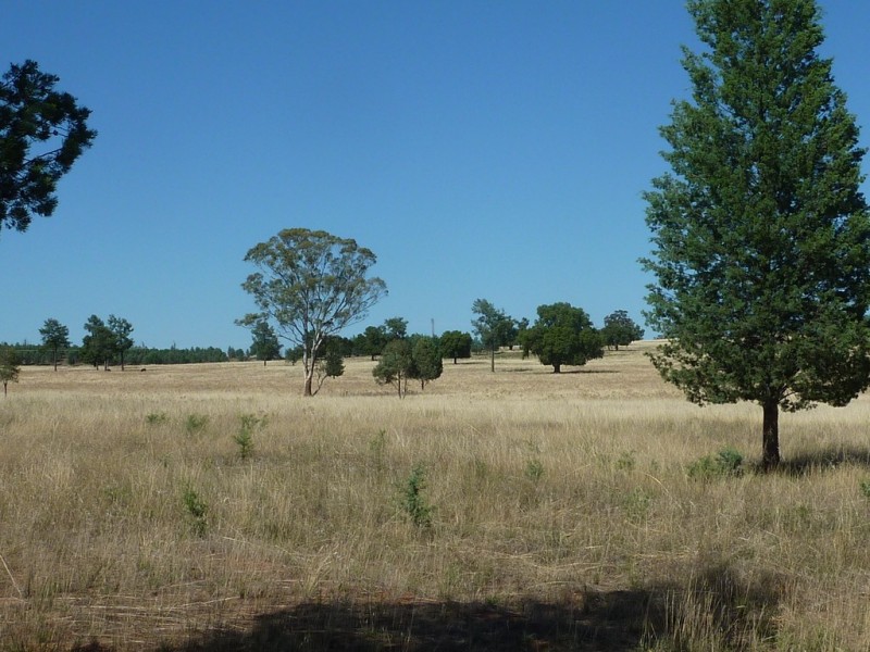 3500 Strontian Road, Narrandera NSW 2700