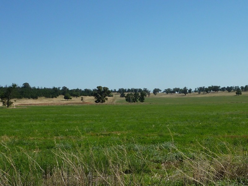 3500 Strontian Road, Narrandera NSW 2700