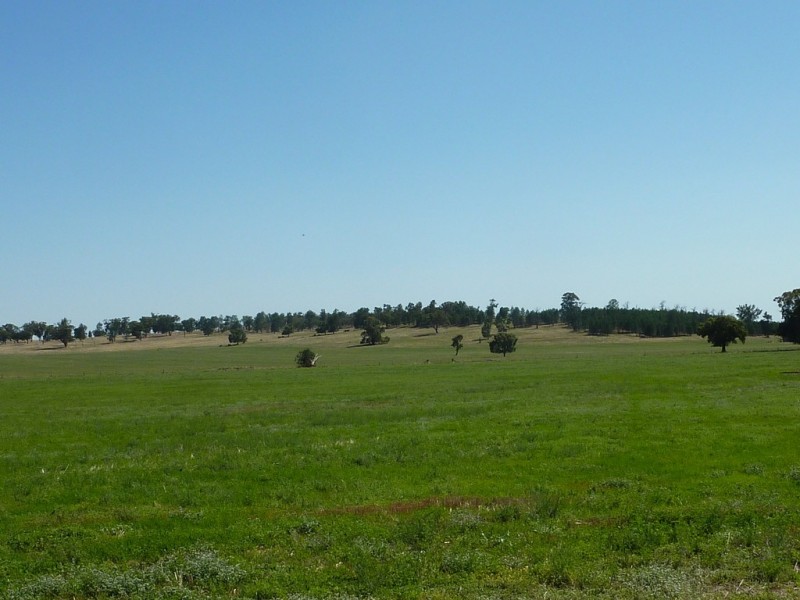 3500 Strontian Road, Narrandera NSW 2700