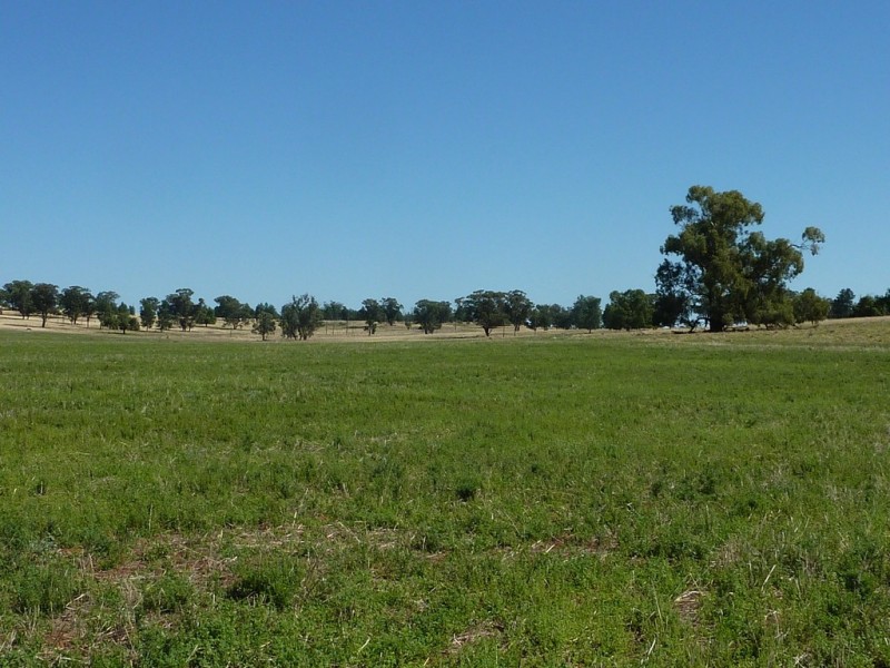 3500 Strontian Road, Narrandera NSW 2700