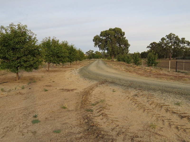 38 Flanagans Lane, Deniliquin NSW 2710