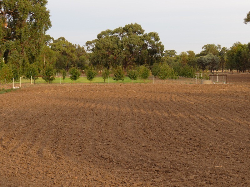 38 Flanagans Lane, Deniliquin NSW 2710