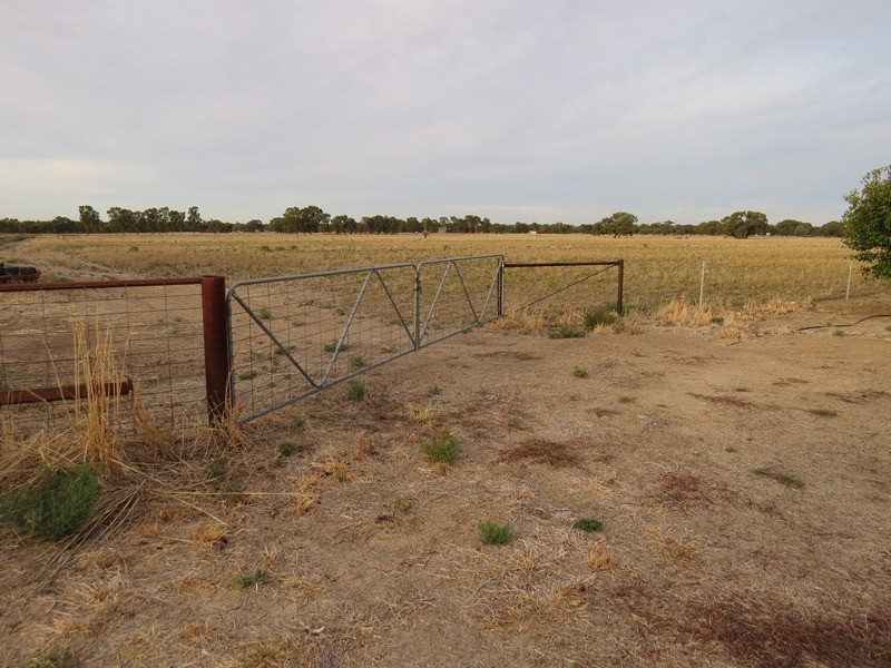 38 Flanagans Lane, Deniliquin NSW 2710
