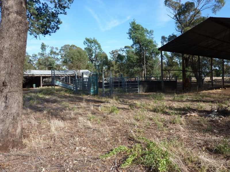 233 Plums Lane The Rock via, Wagga Wagga NSW 2650