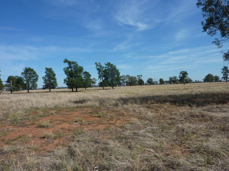 233 Plums Lane The Rock via, Wagga Wagga NSW 2650