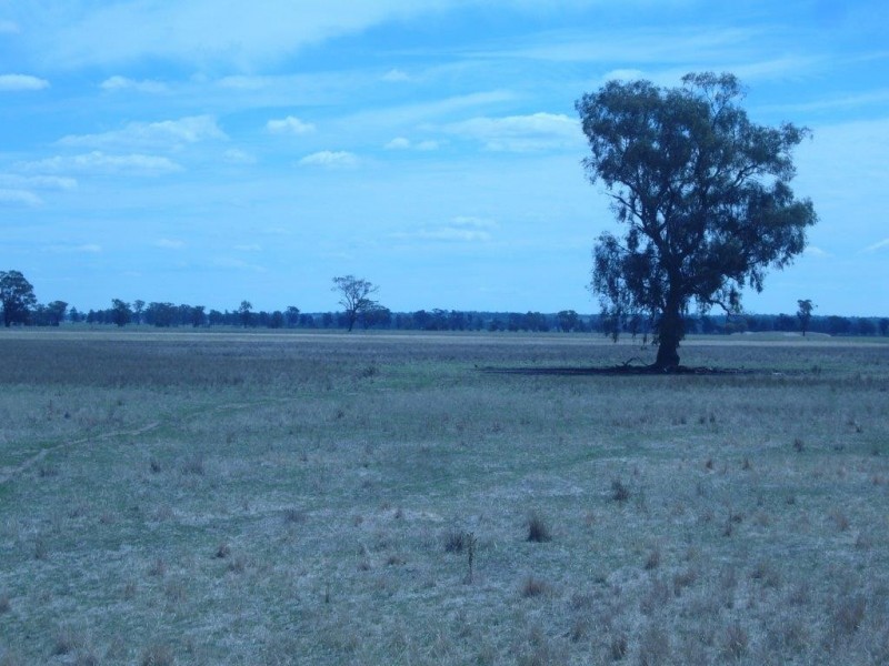 233 Plums Lane The Rock via, Wagga Wagga NSW 2650