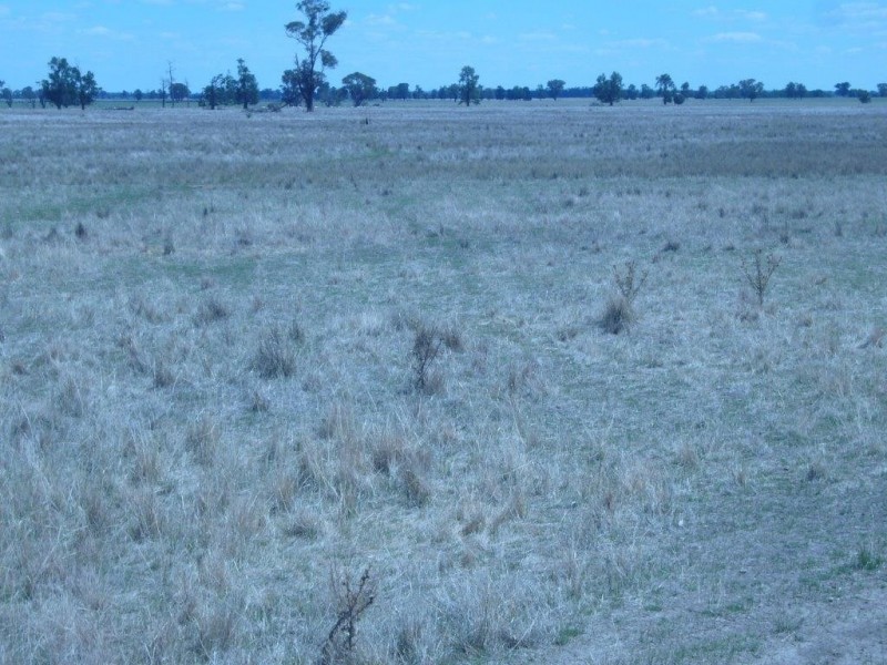 233 Plums Lane The Rock via, Wagga Wagga NSW 2650