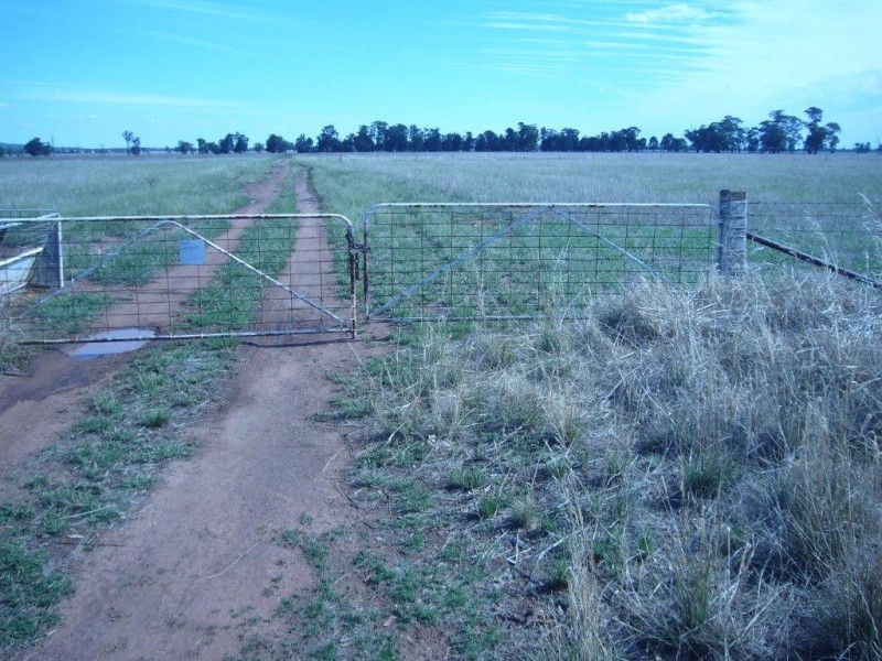 233 Plums Lane The Rock via, Wagga Wagga NSW 2650