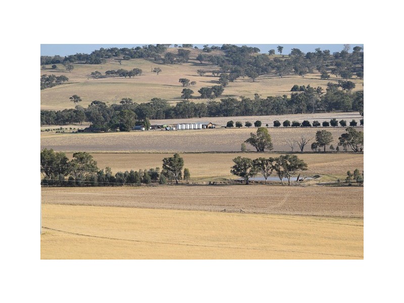 Wagga Wagga NSW 2650