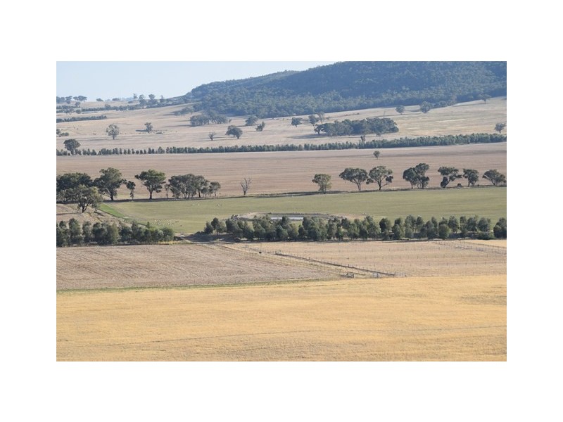 Wagga Wagga NSW 2650