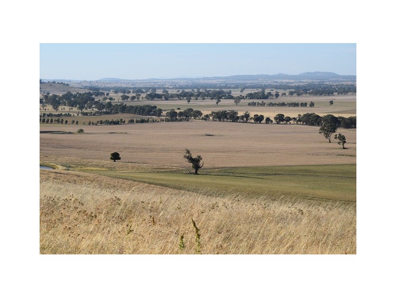 Wagga Wagga NSW 2650